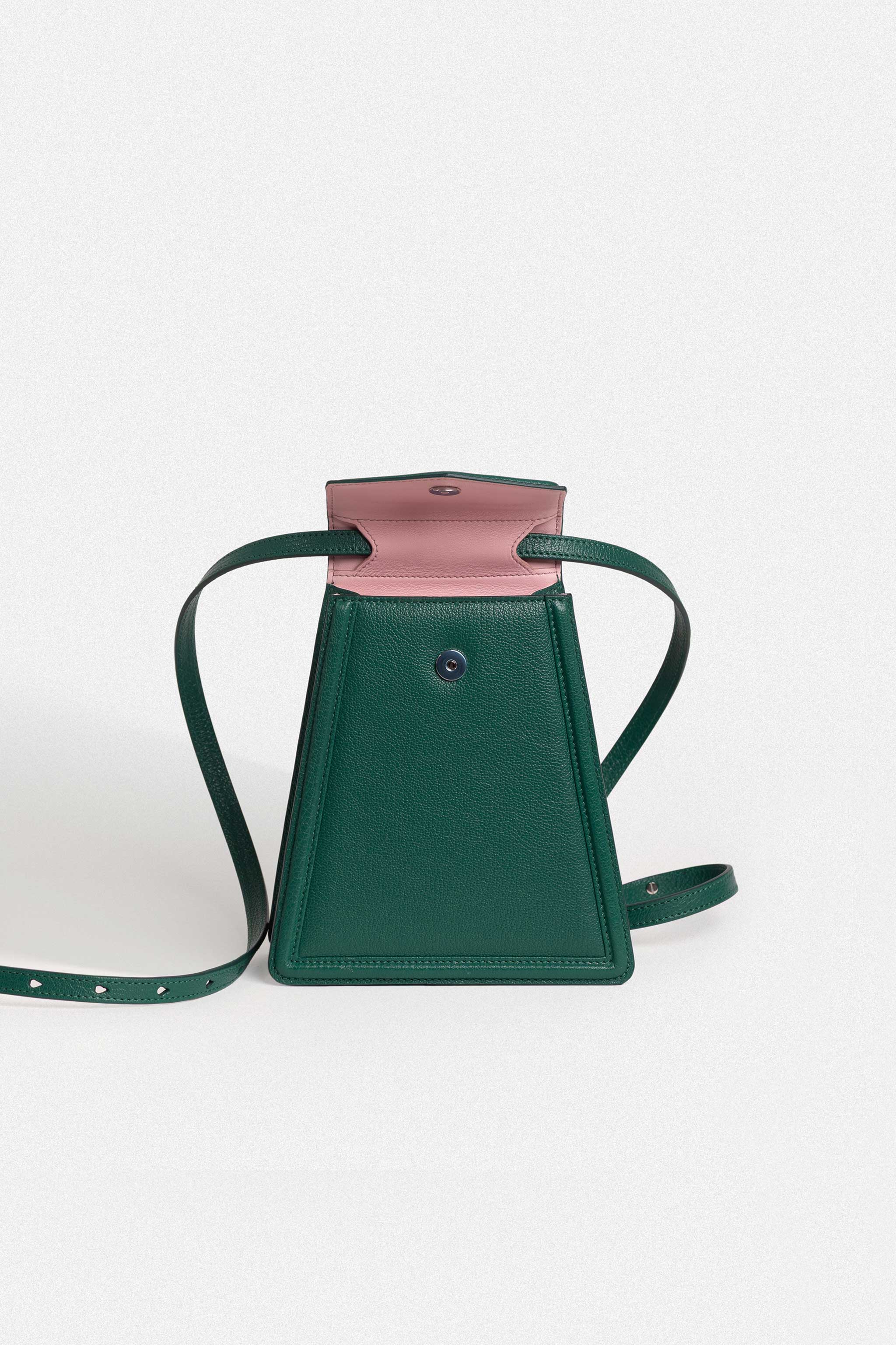 松柏绿山羊皮卷须